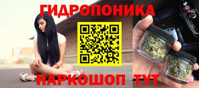 apvp Усть-Илимск