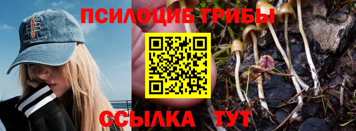 Мелеуз  Галлюциногенные грибы мицелий  наркошоп  Вход с VPN 