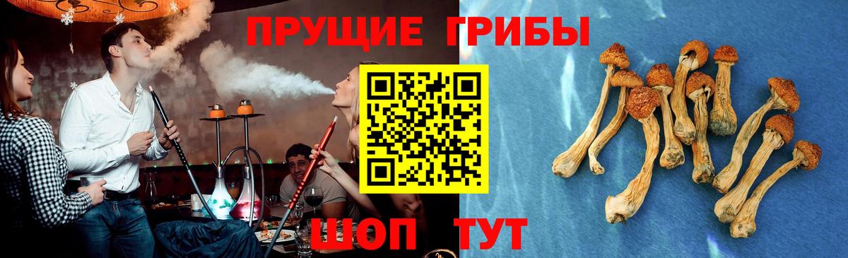 Галлюциногенные грибы Psilocybine cubensis Мелеуз